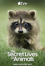 Watch Free The Secret Lives of Animals (2024-)