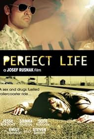 Watch Free Perfect Life (2010)