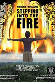 Watch Free Stepping Into the Fire 2011